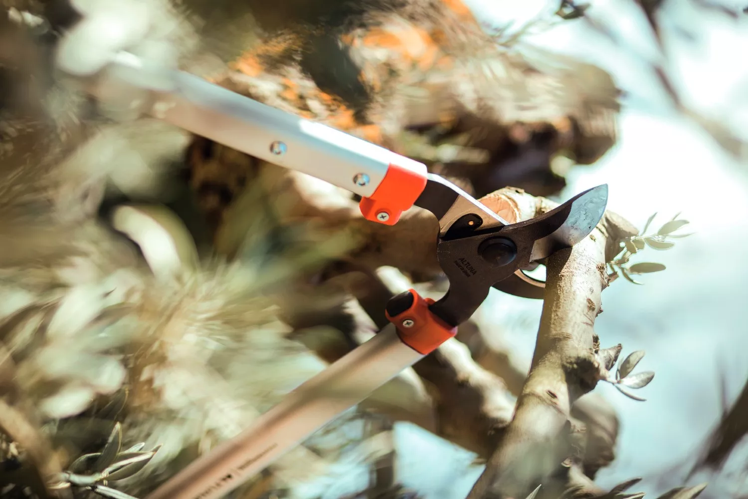 Foarfeca bypass pentru ramuri groase, Altuna #  51-90 CM 
