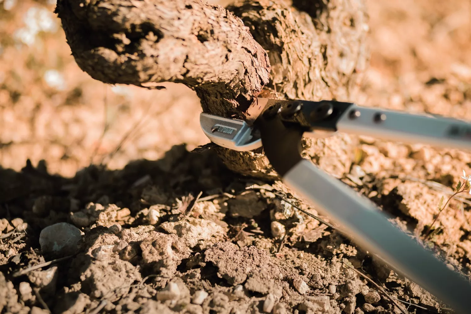 Foarfeca pentru ramuri groase,  Altuna # 50-100 CM 