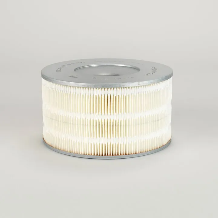 FILTRU AER DONALDSON # P500124