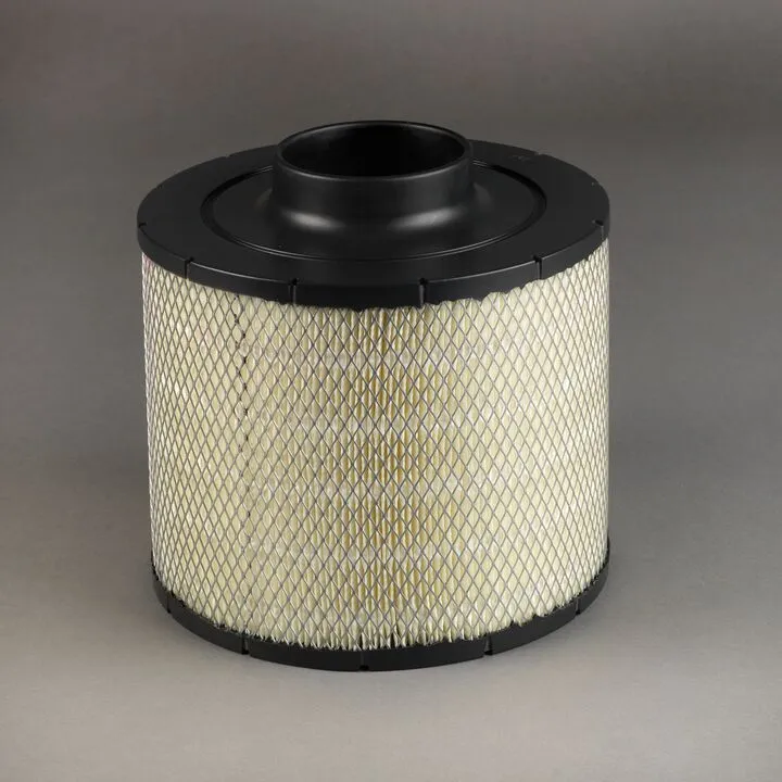 FILTRU AER DONALDSON # B100094