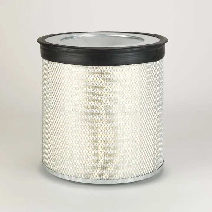 FILTRU AER DONALDSON # P124370