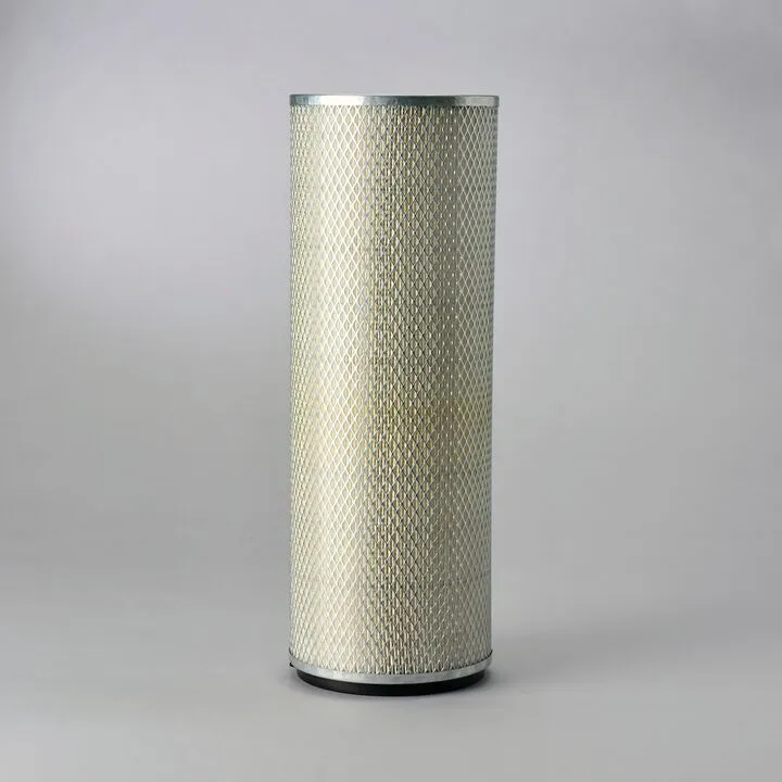 FILTRU AER DONALDSON # P124862