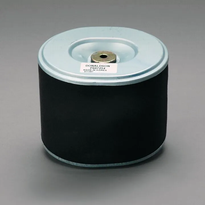 FILTRU AER DONALDSON # P607254