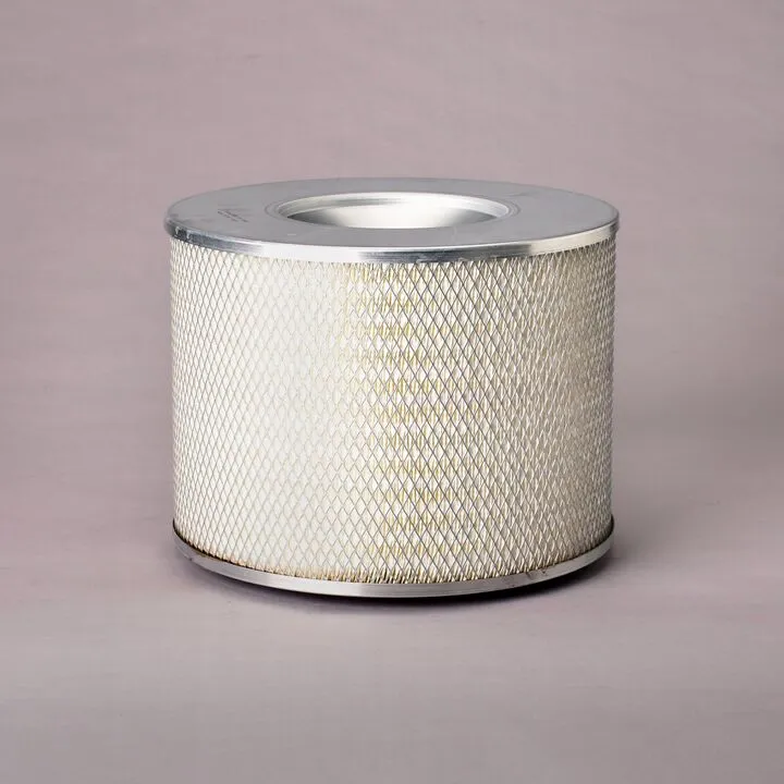 FILTRU AER DONALDSON # P771595