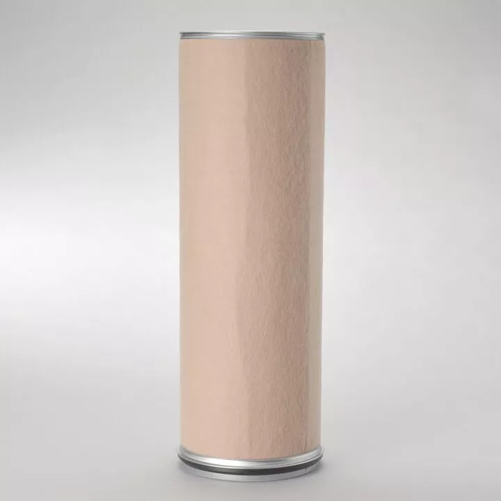 FILTRU AER DONALDSON # P781351