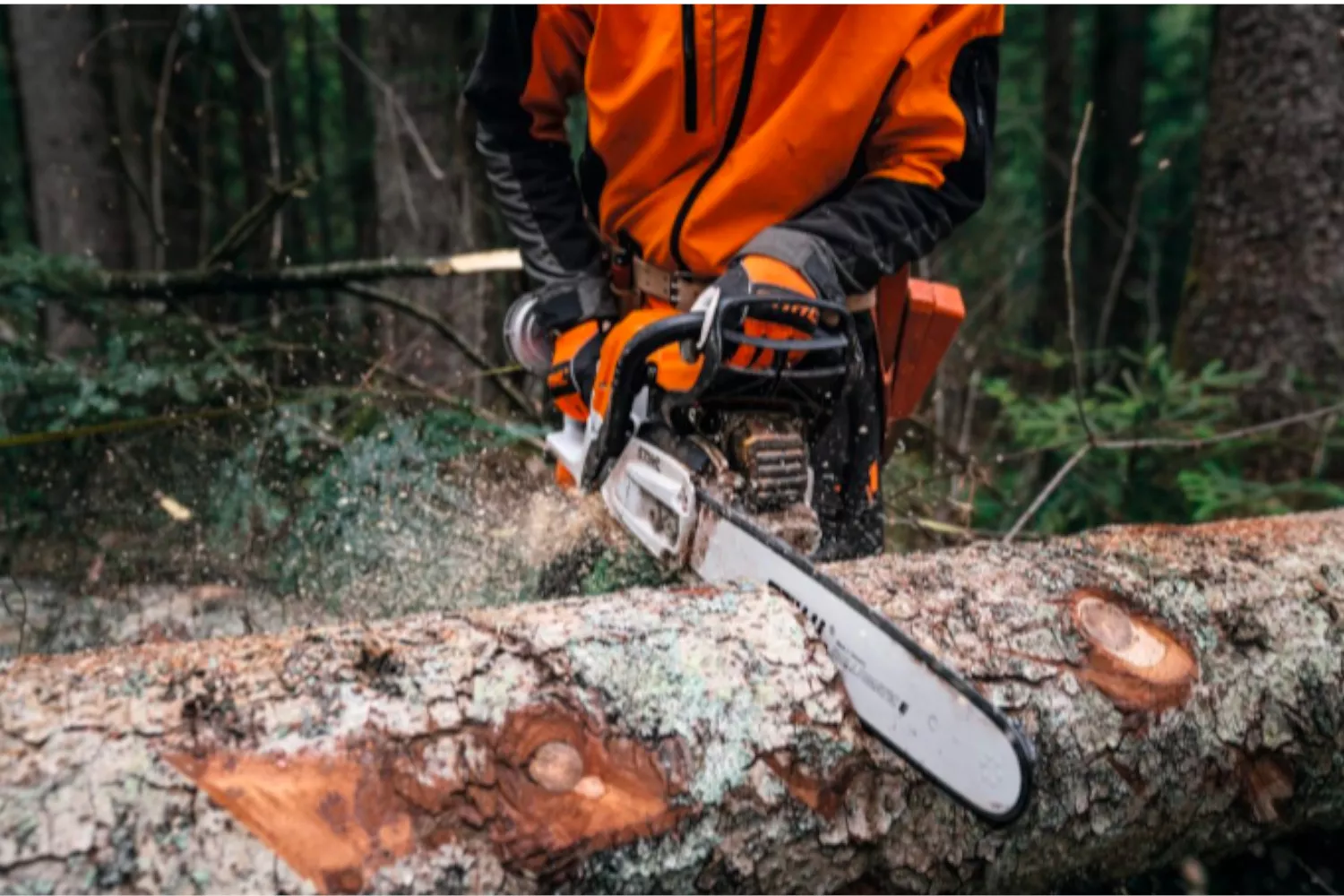 MOTOFERASTRAU MS400 C-M 45CM 1.6MM  STIHL # 11402000521