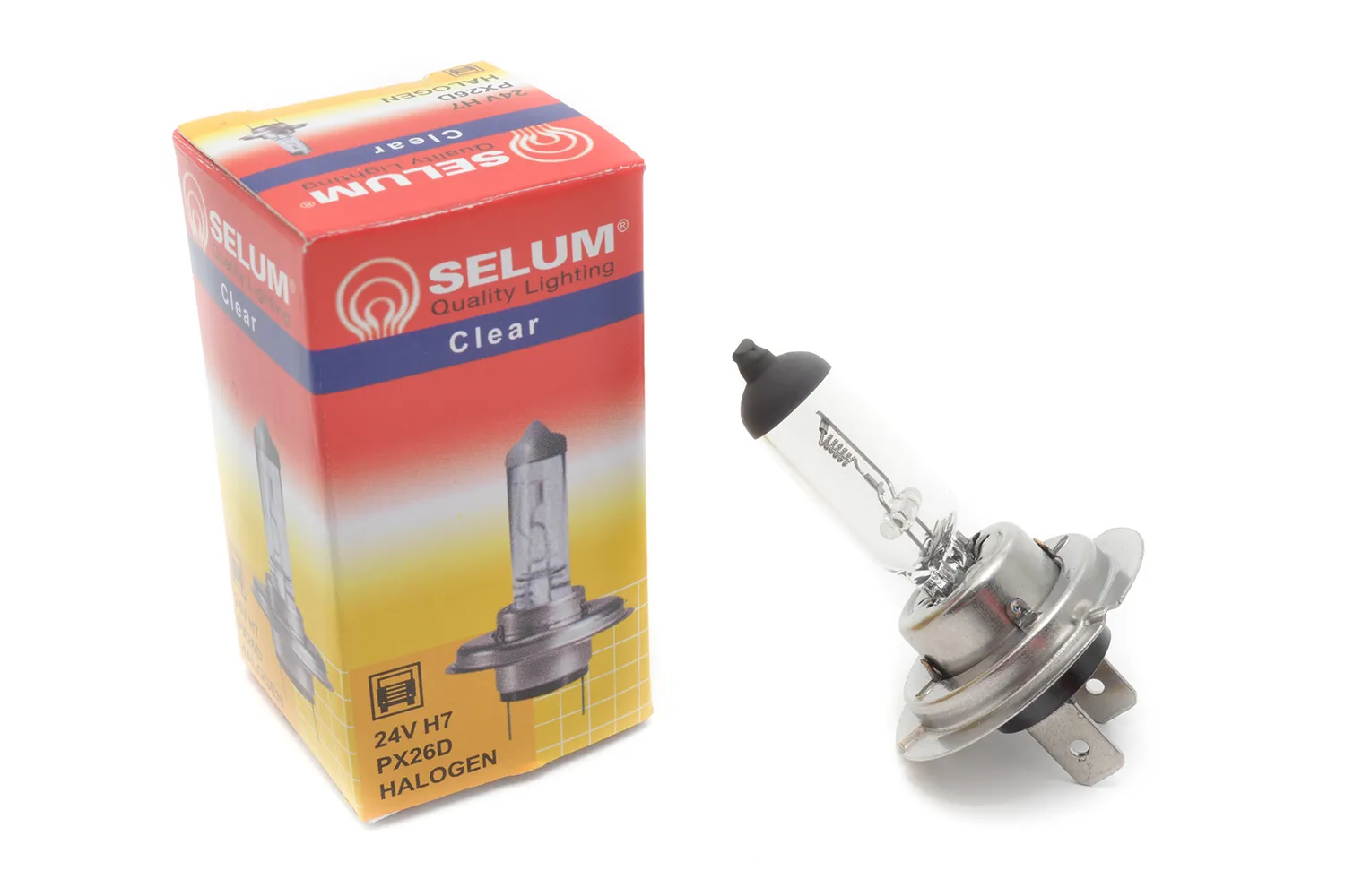 Bec H7 24V