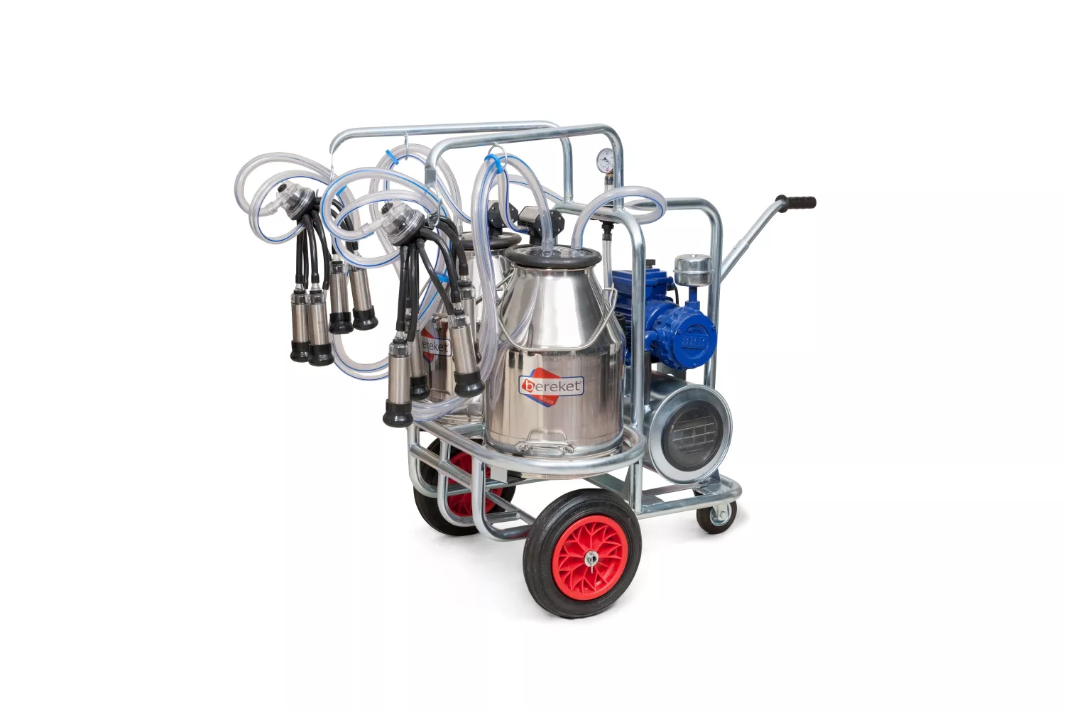 Aparat de muls oi, 4 posturi, 2 bidoane 30 l Bereket # BS4KYX 4+2 