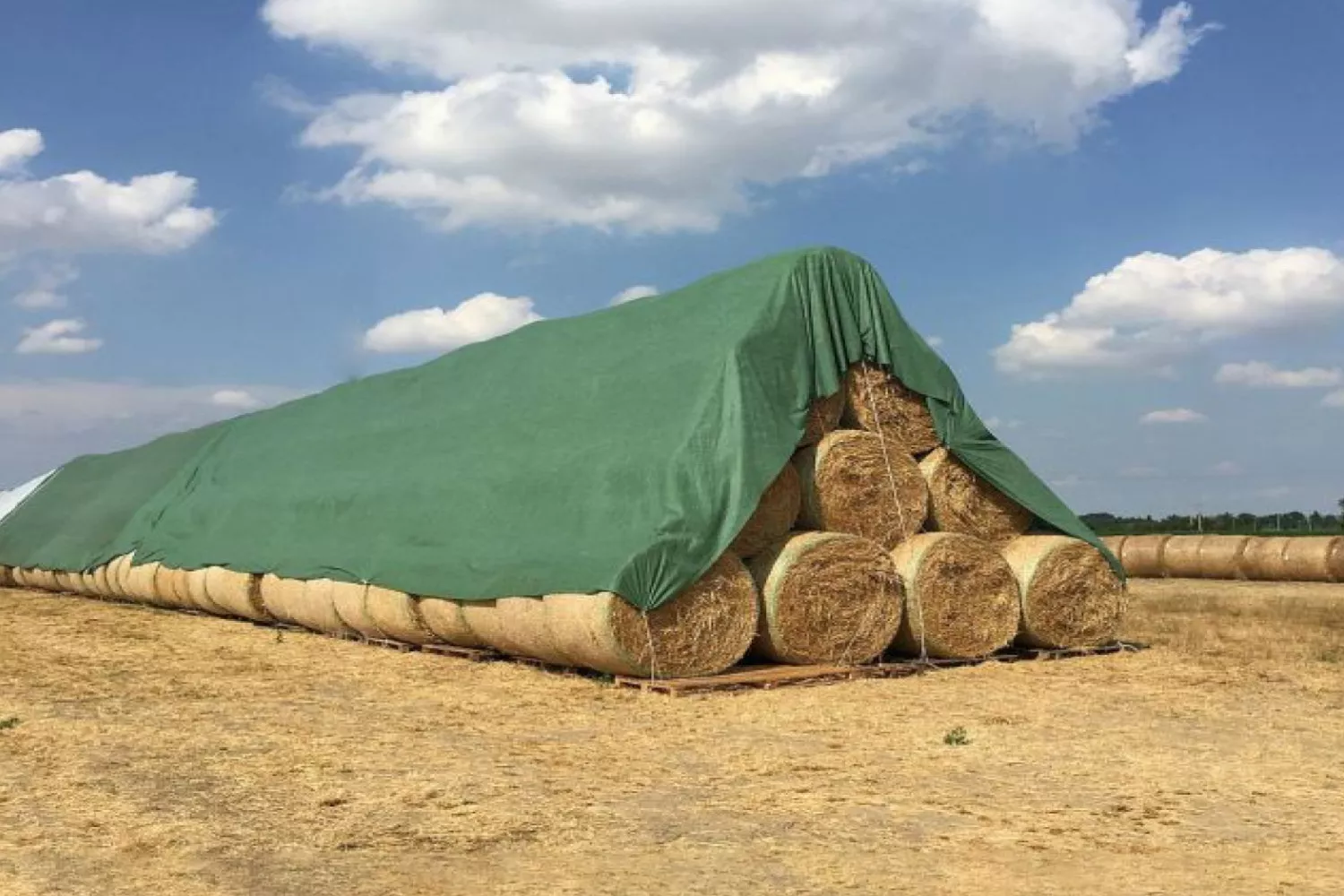 Prelata protectie baloti BaleGuard, lungime 25 m, latime 9.8 m, grosime 140 g/mp # 26098250