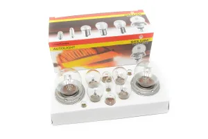 Set Becuri Auto 12V
