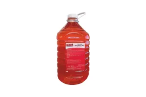 Solutie Parbriz Vara 5 l