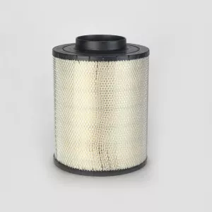 FILTRU AER DONALDSON # B125003