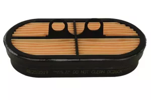 FILTRU AER # RE253519