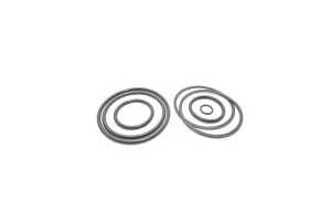 Set Garnituri Mecanism Hidraulic U445 Fi95 101.45.102