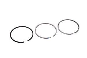 Set Segmenti Perkins # 4181A026
