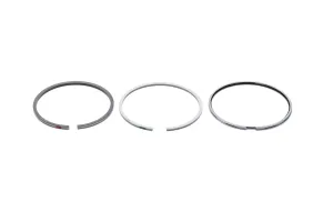 Set Segmenti Perkins # 4181A033