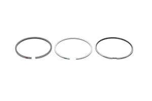 Set Segmenti Perkins # 4181A033