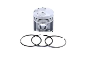 Set Piston+Segmenti Std Perkins # 115017491