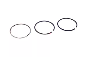 Set Segmenti Std Perkins # U4181A045