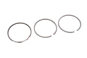 Set Segmenti Perkins # 4181A022