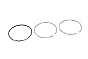 Set Segmenti Perkins # 4181A019