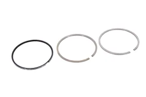 Set Segmenti Perkins # 4181A021