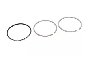 Set Segmenti Perkins # 4181A021