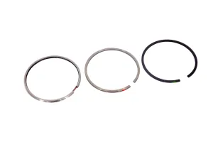 Set Segmenti Perkins # 41158005