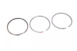 Set Segmenti Perkins # 41158147