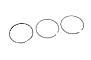 Set Segmenti Perkins # 4181A035