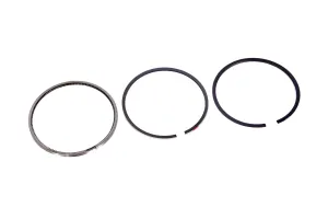 Set Segmenti Std Perkins # 4181A101