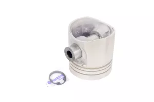 Set Piston (Bolt+Siguranta) Perkins # U5Ll0030
