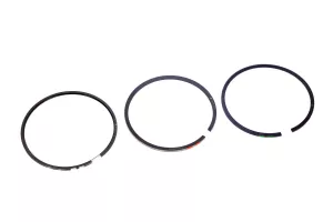 Set Segmenti R1 Perkins # Uprk0002B