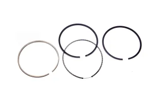 Set Segmenti Perkins # 115107980