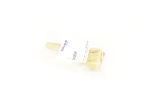 Supapa Admisie Perkins # 3142D041