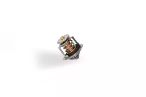 Termostat Perkins # 145206220